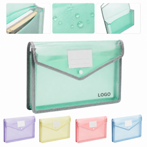 Translucent A4 Expanding Document Organizer with Snap Closure and ID Window